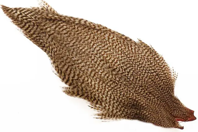 Ewing #1 Cape Bleached Grizzly Med. Blue Dun 