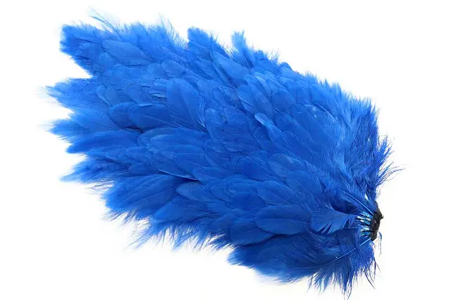 Ewing #1 Hen Saddle Kingfisher 