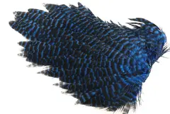 Ewing #1 Hen Saddle Grizzly Kingfisher