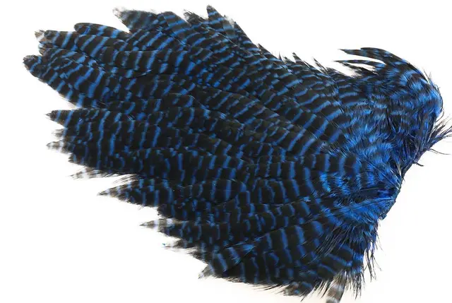 Ewing #1 Hen Saddle Grizzly Kingfisher 