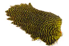 Ewing #1 Hen Saddle Grizzly Yellow