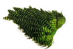 Ewing #1 Hen Saddle Grizzly Chartreuse