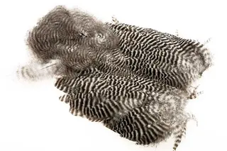 Ewing #1 Grizzly Body Marabou Patch