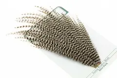 Ewing 12&#39;s &amp; 14&#39;s Dry Fly Mini Pack Grizzly