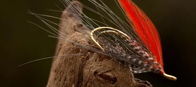 Ahrex HR420G Progressive Double #10 Gold finish - 5 stk 