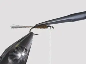 Marc Petitjean Plier Hackleklemme 