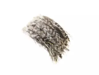 Cock Hackles Grizzly Flotte kavlitetsfj&#230;r til hackle