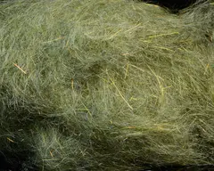 Spawn&#39;s Simi Seal Dubbing Chum Fry