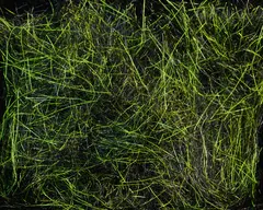 Spawn&#39;s UV Simi Seal Dubbing Black / UV Chartreuse Yellow