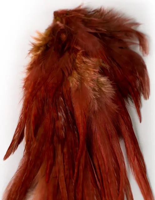 Ewing Wooly Bugger Pack Ginger 