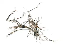 Cock Pheasant Knotted Tail On Quill Natural (Daddy Long Legs) - Veniard