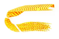 Barred Round Rubberlegs Orange/Yellow