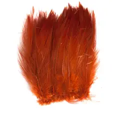 Cock Hackles Rootbeer