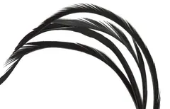 Goose Biots - Black Wapsi