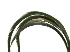 Goose Biots - Blue Wing Olive Wapsi