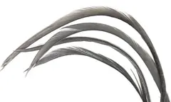 Goose Biots - Dyed Dun Wapsi