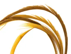 Goose Biots - Ginger Wapsi