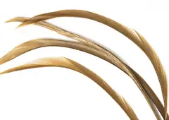 Goose Biots - Tan Wapsi