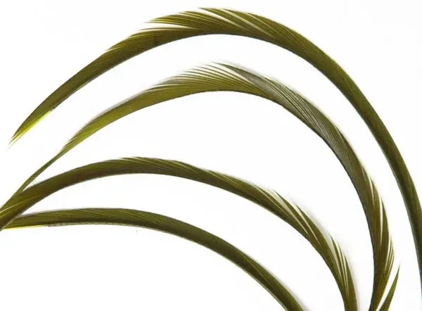 Goose Biots - Light Olive Wapsi 