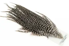 Ewing Wooly Bugger Pack Grizzly