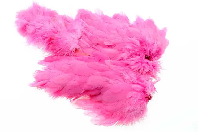 Ewing Pink Body Marabou Patch 