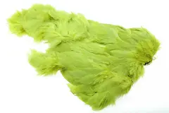 Ewing Golden Olive Body Marabou Patch