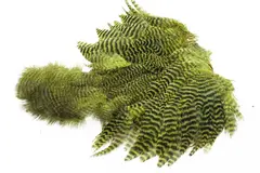 Ewing Yellow Grizzly Body Marabou Patch