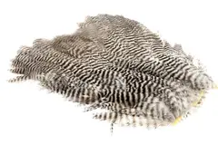 Softhackle patch Grizzly