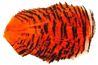 Golden Pheasant Tippet - hot orange Fasanfj&#230;r fra Wapsi