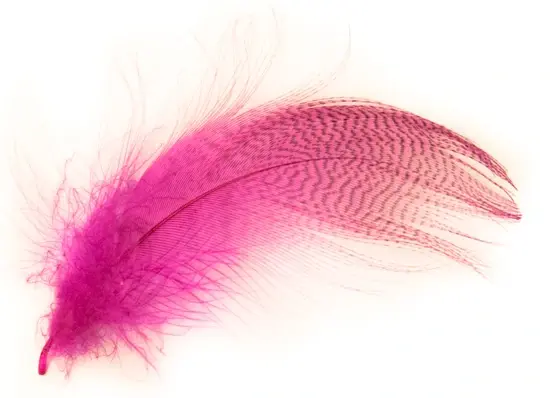 FlyCo Grey Mallard Flank Fl. Pink Stokkand 