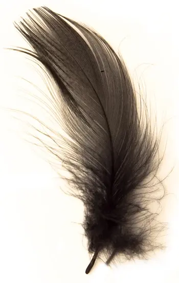 FlyCo Grey Mallard Flank Black Stokkand 