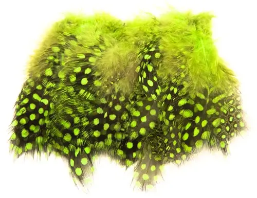 Guinea Fowl Strung - Chartreuse Perlehøne 
