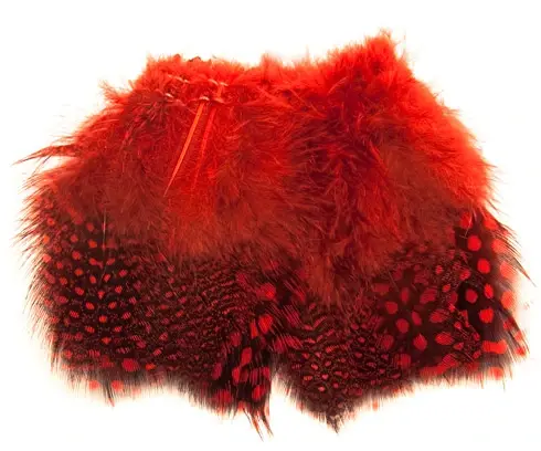 Guinea Fowl Strung - Red Perlehøne 