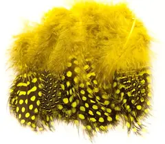 Guinea Fowl Strung - Yellow Perleh&#248;ne