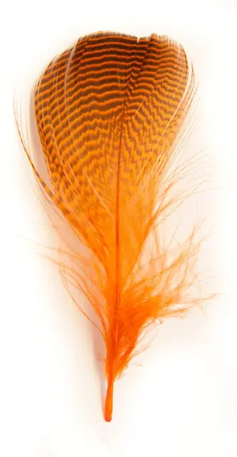 Teal flankefjær - Hot Orange Mange fjær pr pose - Krikkand 