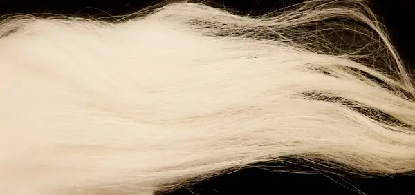 Goathair - White The Fly Co 