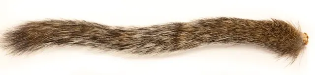 Squirrel Tail - Natural Grey Wapsi 