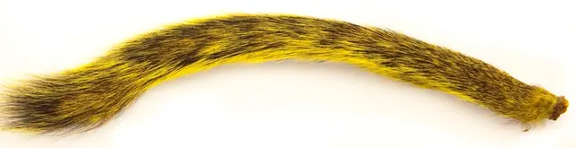 Squirrel Tail - Yellow Wapsi 
