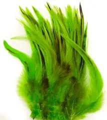 Cockhackles Badger - Fl. Green