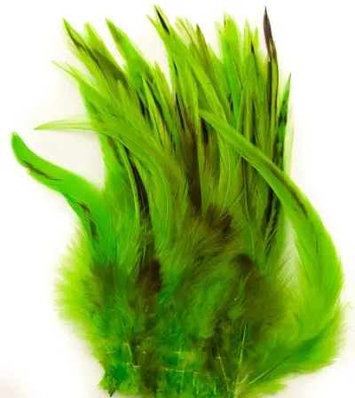 Cockhackles Badger - Fl. Green 