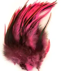 Cockhackles Badger - Fl. Pink