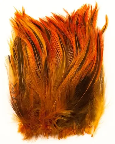 Cockhackles Badger - Ginger 