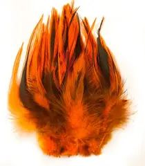 Cockhackles Badger - Orange