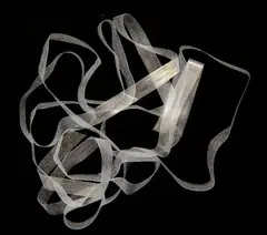 Body Stretch - Clear