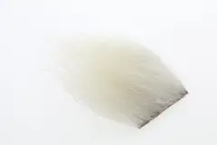 Polar Bear - Natural The Fly Co.