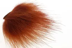 Polar Bear - Fiery Brown The Fly Co.