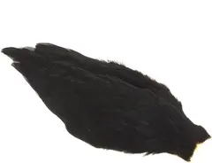 Whiting American Hen Cape Black