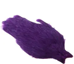 Whiting American Hen Cape Purple