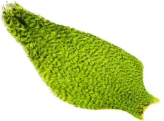 Whiting American Rooster Cape Grizzly/Fluo Green Chartreuse