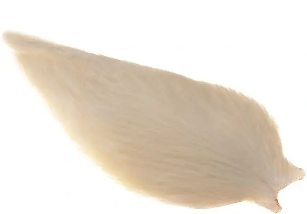 Whiting American Rooster Cape White 